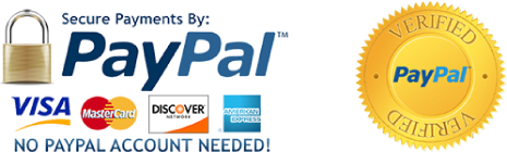 DOCUMENT TRANSLATION SERVICES